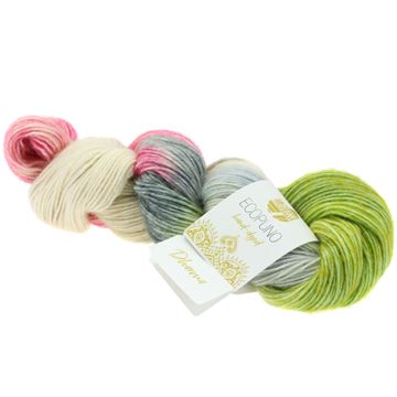 ECOPUNO Hand-dyed  no 510